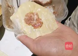 Illustration of how to wrap wontons 1