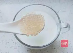 Mango Sago Recipe Illustration 6