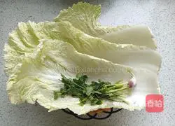 Illustration of how to make cabbage pimple soup 2