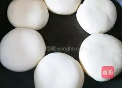 Illustration of how to make beef patties 8