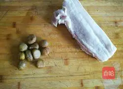 Chestnut Braised Pork Recipe Illustration 1