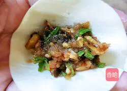 Illustration of how to make homemade dumplings with celery, mushrooms and meat 11