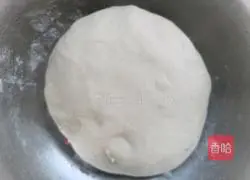 Jinwei vegetarian steamed dumplings Illustration of how to make dumplings 1