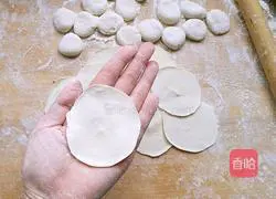 Illustration of how to make pork and leek dumplings 15