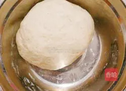 Assorted pizza recipe illustration 1