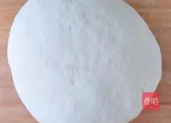 Illustration of how to make siomai 2