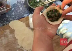 Shepherd's purse dumplings? Recipe 6