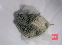 Illustration of how to make crystal pig skin jelly 4