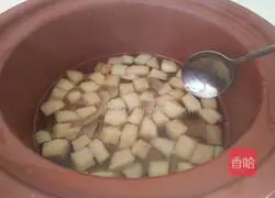 Undersea Coconut Apple Lily Sweet Soup Recipe Illustration 11