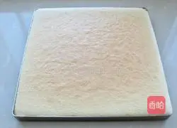 Matcha stump cake roll recipe 16