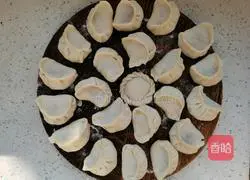 Winter Melon and Pork Dumplings Recipe Illustration 5