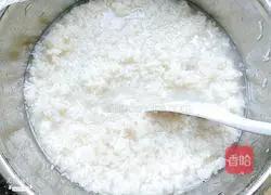 Illustration of homemade fermented rice 16