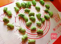 Spring Taste Recipe Illustration 11