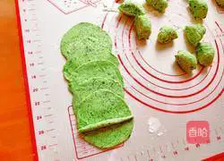 Spring Illustration of how to make the taste 13