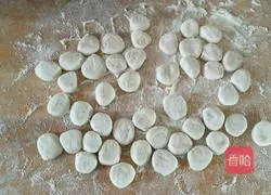 Illustration of how to make pork and cabbage dumplings 15