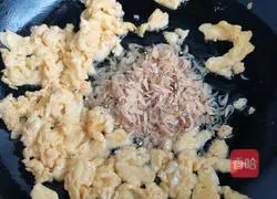 Illustration of how to make prime zygote 3