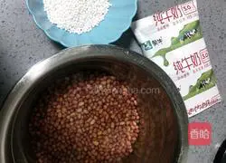 Illustration of how to make red bean milk and sago 1