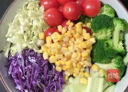 Lettuce Salad - Illustration of How to Make Money 1