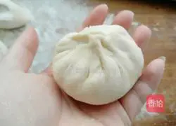 Illustration of making pancakes with fungus and cabbage 18