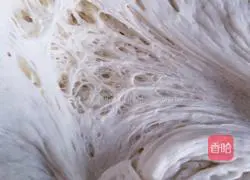 Illustration of homemade fire-roasted buns 4