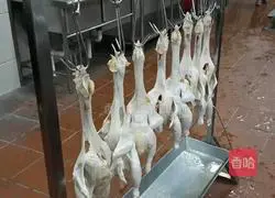 Garlic Roast Chicken Recipe 2