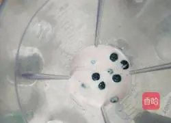 Illustration of how to make blueberry yogurt shake 2