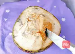 Illustration of papaya, bigfoot, coconut milk and duck soup 14