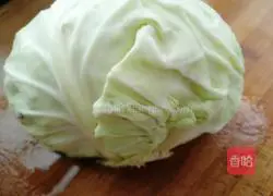 Wood Fungus Illustration of how to make cabbage pancakes 5