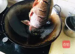 Illustration of home-cooked braised fish 3