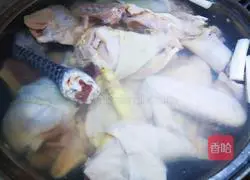 Fresh Matsutake Chicken Soup Illustration 4