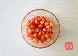 Pomegranate Ice American Style Illustration 2