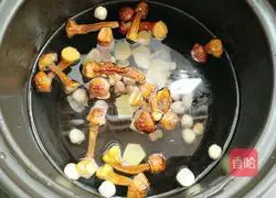 Poria Illustration of how to make Agaricus Blazei Matsutake Spare Ribs Soup 10