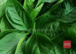 Chili leaf chicken slices soup Illustration of how to do it 2