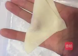 Illustration of how to make wontons 15