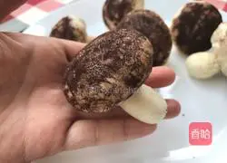 Illustration of how to make mushroom and bean paste buns 14