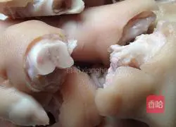 Illustration of braised pig's trotters 2