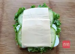 Tuna cheese sandwich recipe 11
