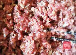 Illustration of how to make beef patties 6