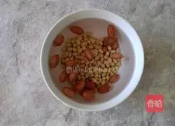 Peanut red dates Illustration of how to make soy milk 4