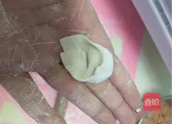 Illustration of homemade wonton stew 8