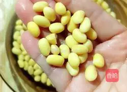 Purple Sweet Potato Illustration of how to make soy milk 4