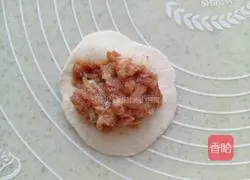 Illustration of how to make Xiao Long Bao stuffed with pork and green onions 11