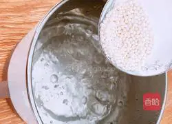 Mango Sago Recipe Illustration 3