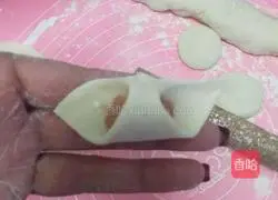 Illustration of homemade wonton stew 7