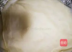 Illustration of how to make spring cakes with vegetables 5