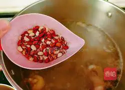 Pumpkin duck soup recipe 7