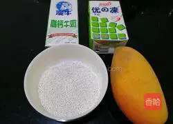 Mango Sago Recipe Illustration 1