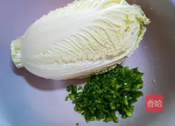 Illustration of how to make cabbage and pork patties 1