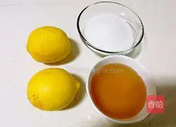 Honey Lemon Tea Recipe Illustration 1 