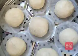 Illustration of how to make bean paste buns 10